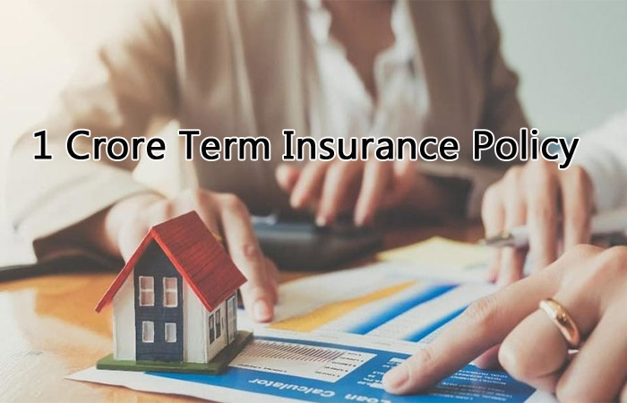 How to choose the best one 1 Crore Term Insurance Plan in India?