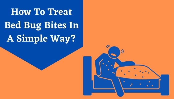 How-To-Treat-Bed-Bug-Bites-In-A-Simple-Way