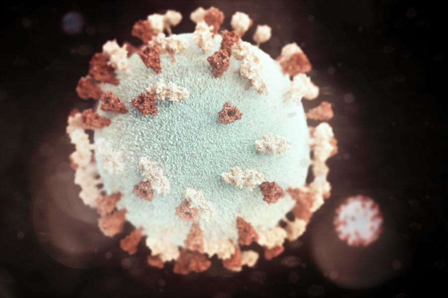 New Coronavirus Variants