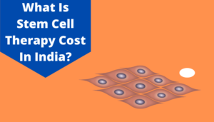 What Is Stem Cell Therapy Cost In India?