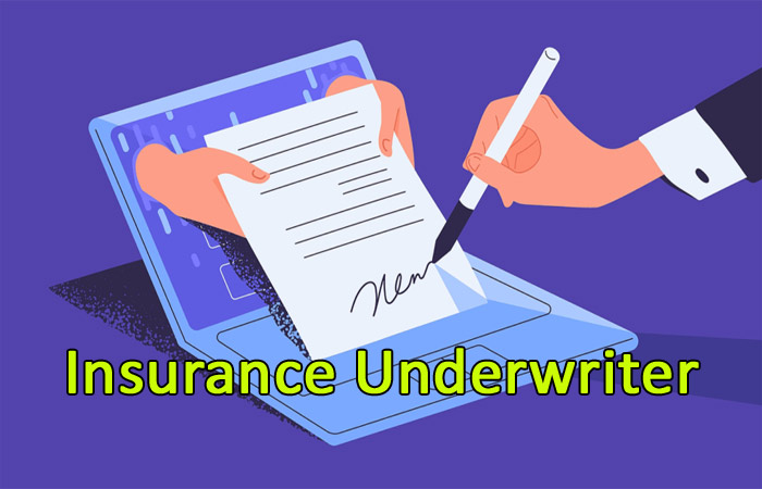 Insurance Underwriter - Definition, Role and Major Responsibilities