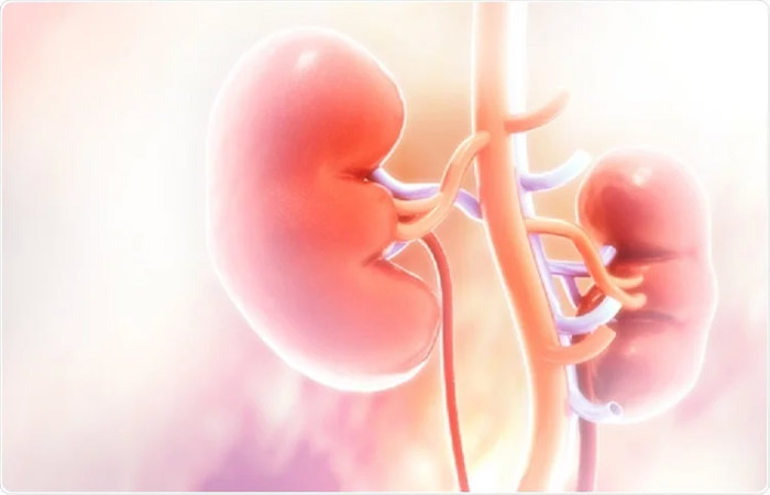 Which Health Disorders Require Kidney Transplant Surgery in India?